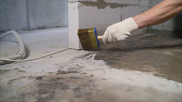 SJ Waterproofing Pros Waterproofing coverage map for Elba, AL and surrounding area